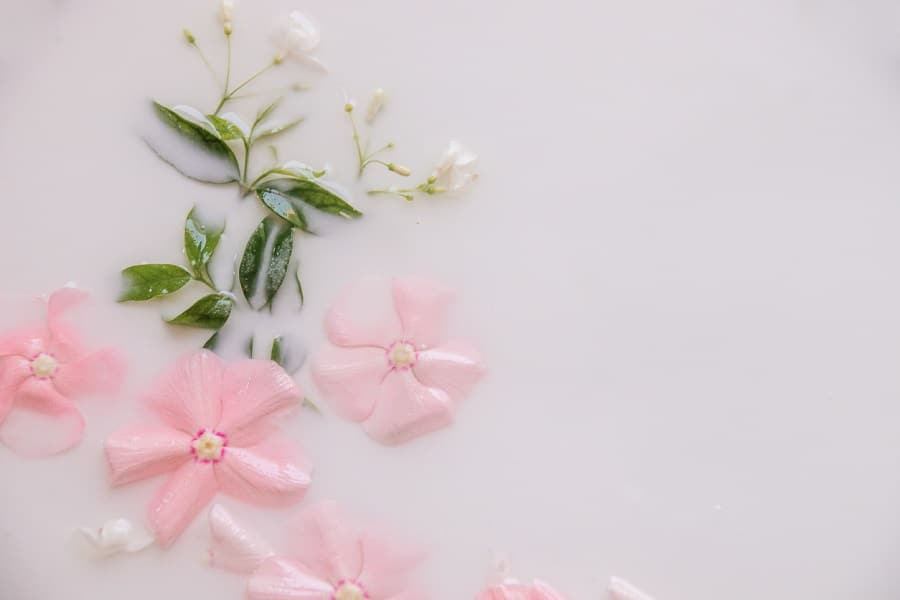 Rose Milk Bath Tea Recipe for Dry Skin - Everything Pretty